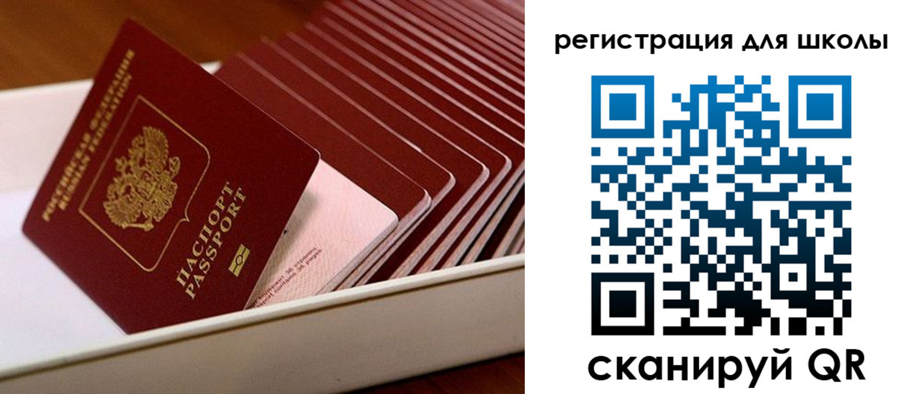 прописка гарантия в Орле